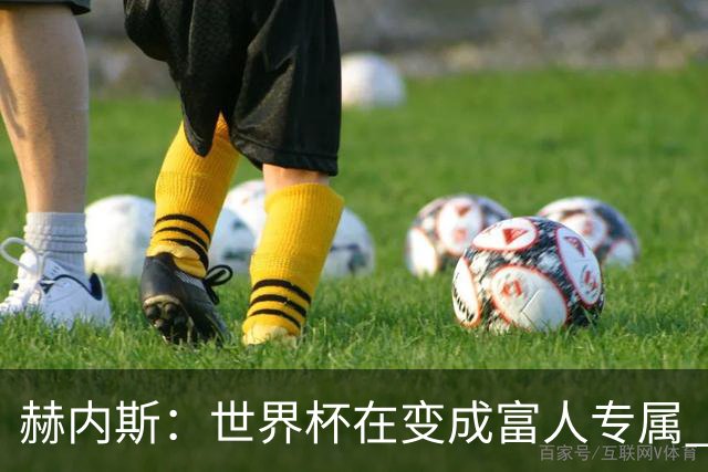 赫内斯：世界杯在变成富人专属 再商业化1张中等票也不该2千美金